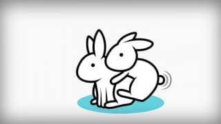 Vérifiez votre âge