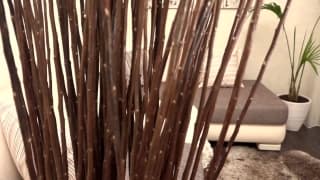 Vérifiez votre âge