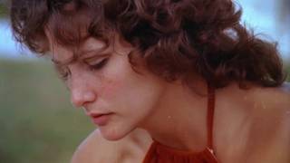 Vérifiez votre âge