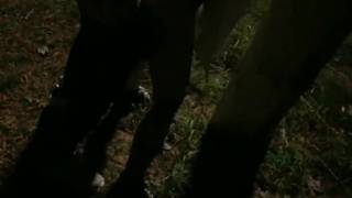 Vérifiez votre âge